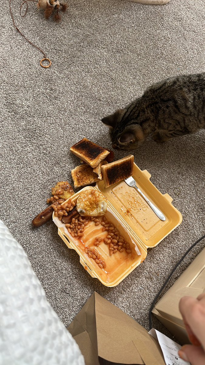 ChloeRubotham's tweet photo. I’ve had better starts to the day https://t.co/hb42IBNx9b