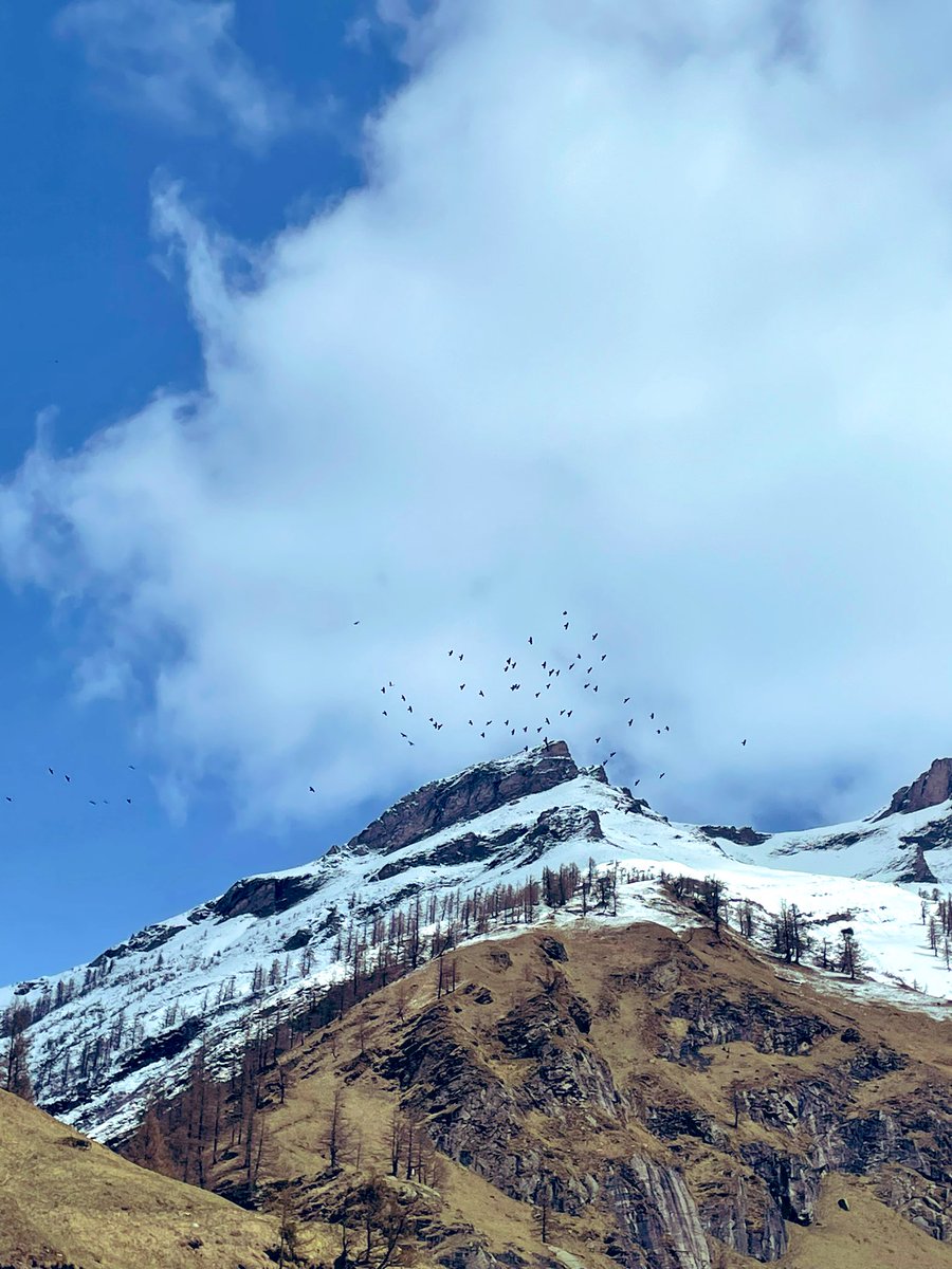 Earthbased.soul tweet media