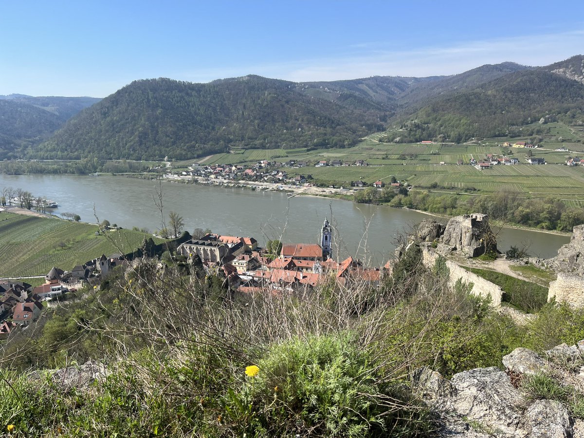 WorldofCruising's tweet image. One of the loveliest stops on the #danube is the pretty town of #durnstein. Take the chance to #hike to the ruined castle to see where Richard the Lionheart spent 3 years in captivity. #riversideluxurycruise #riversidemozart #luxurycruises