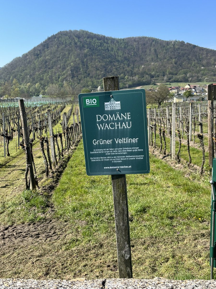 WorldofCruising's tweet image. One of the loveliest stops on the #danube is the pretty town of #durnstein. Take the chance to #hike to the ruined castle to see where Richard the Lionheart spent 3 years in captivity. #riversideluxurycruise #riversidemozart #luxurycruises