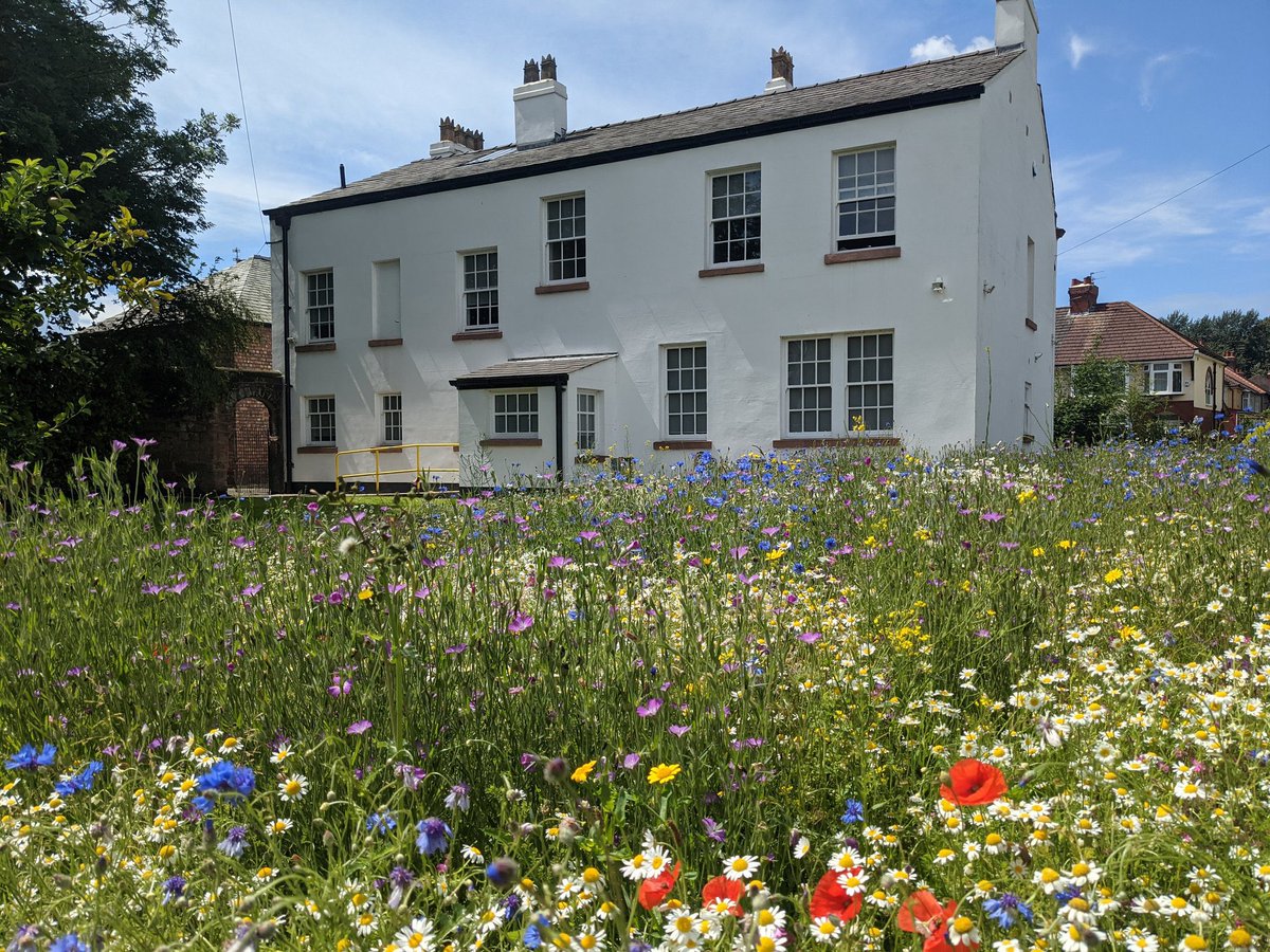 Expanding the ‘seeds of hope’ hub @StVincentsL12 @scouseflowers @davidstvin @MerseyRegionSSN @UKSchoolsSusty @paradoxbridge @WeRedesignX @CISCSchools @LJMUarts @MinistryEco @RHSSchools @RoyalFamily @EdenProject @LetsGo_Zero @ST3AMCo #EveryDayClimateHeroes #WorldEarthDay2023