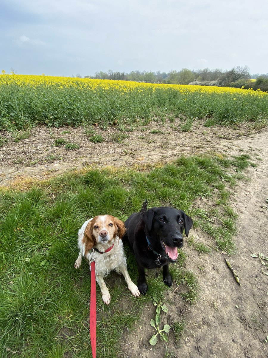 On our way to be protest dogs at #TheBigOne

What will you do for our vital wildlife and climate this #EarthDay ?