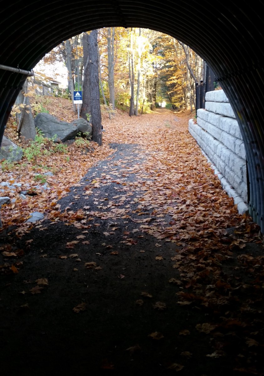 UteSchmid's tweet photo. @admired_art @AmyStand5 Thanks for inviting us to share #archphotography. This one was snapped along the #TinyTownship, Ontario #trailsystem, viaduct under the road allowing pedestrians to pass safely. The date was October 24, 2022. #Snowflakelady #ResidentialTourist https://t.co/b5ycDI5qiB