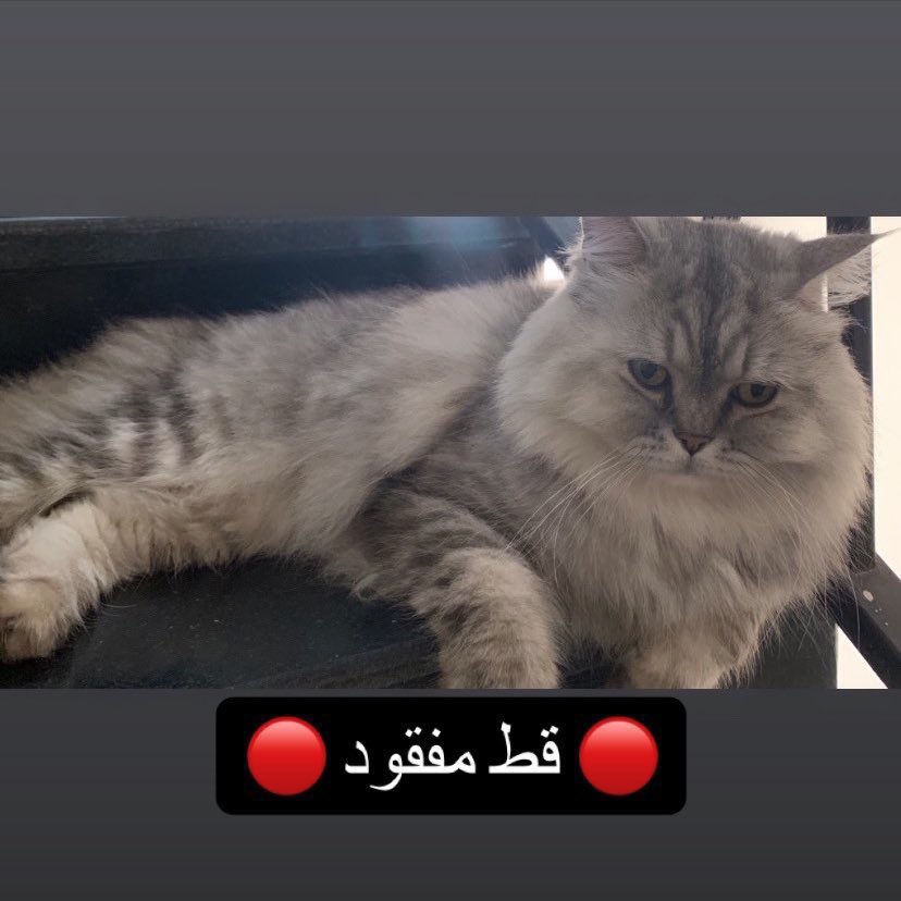 __ 𝗛𝗲𝘆 𝘁𝗵𝗶𝘀 𝗶𝘀 𝗺𝗲 __ tweet media