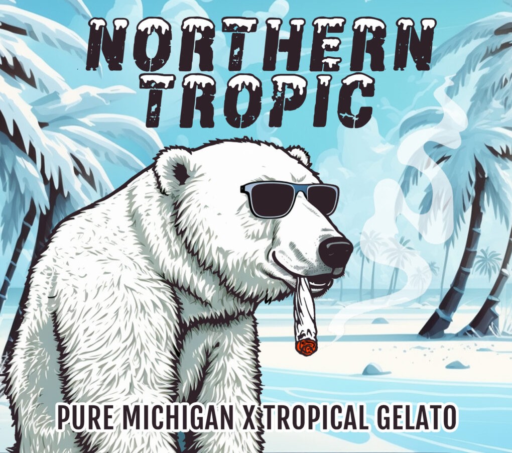 ForTheLuvOfSee2's tweet photo. 2 new strains added to Elev8 Seeds with Northern Tropic & Frosty Bananas, along with the other new strains White Stank & Chilato! 🌞🌱🔥
https://t.co/J4NpTMfWJ9
Save 25% until tomorrow Apr 23rd. No code needed 🎉
#GrowYoueOwn #FTLOS https://t.co/X5wNZUxPO8