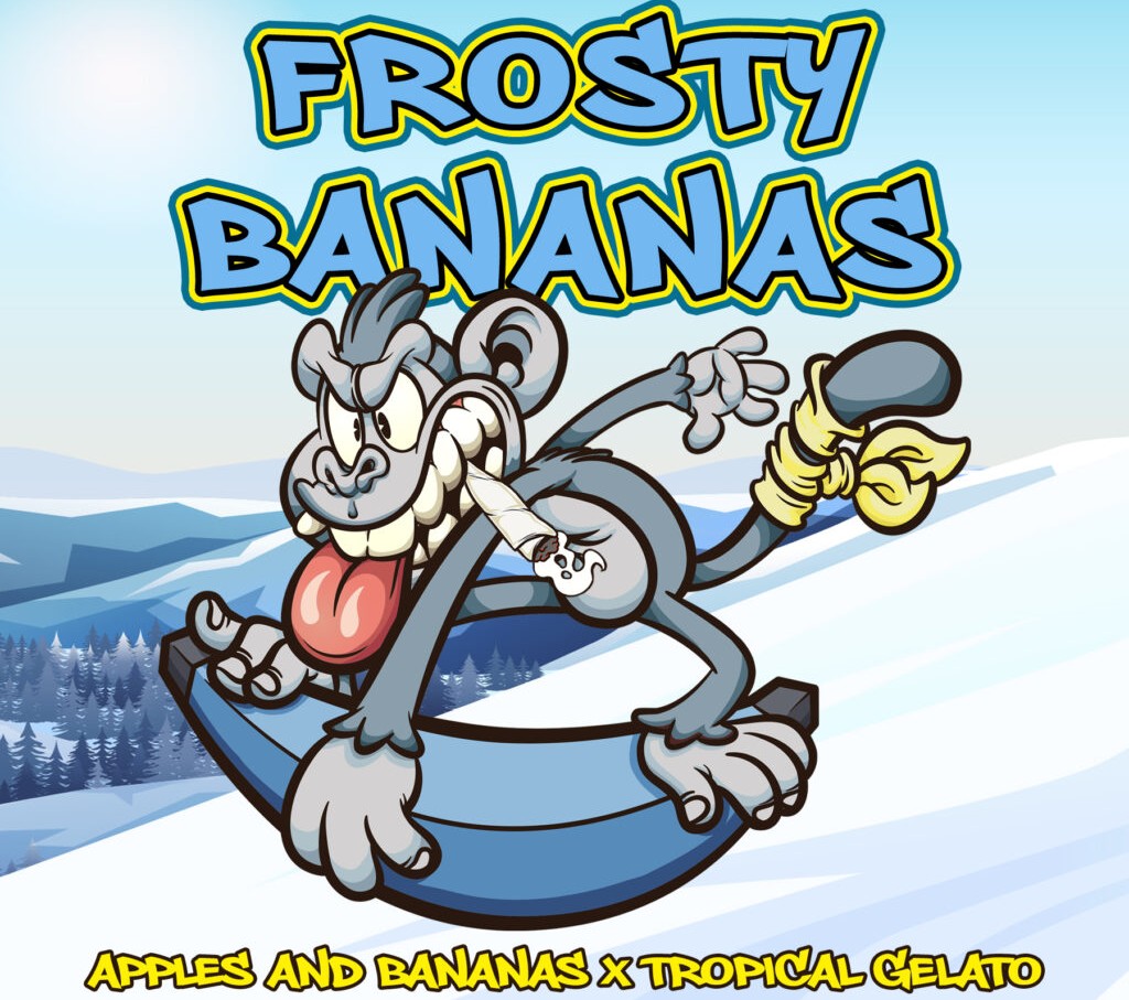 ForTheLuvOfSee2's tweet photo. 2 new strains added to Elev8 Seeds with Northern Tropic & Frosty Bananas, along with the other new strains White Stank & Chilato! 🌞🌱🔥
https://t.co/J4NpTMfWJ9
Save 25% until tomorrow Apr 23rd. No code needed 🎉
#GrowYoueOwn #FTLOS https://t.co/X5wNZUxPO8