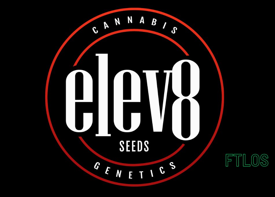 ForTheLuvOfSee2's tweet photo. 2 new strains added to Elev8 Seeds with Northern Tropic & Frosty Bananas, along with the other new strains White Stank & Chilato! 🌞🌱🔥
https://t.co/J4NpTMfWJ9
Save 25% until tomorrow Apr 23rd. No code needed 🎉
#GrowYoueOwn #FTLOS https://t.co/X5wNZUxPO8