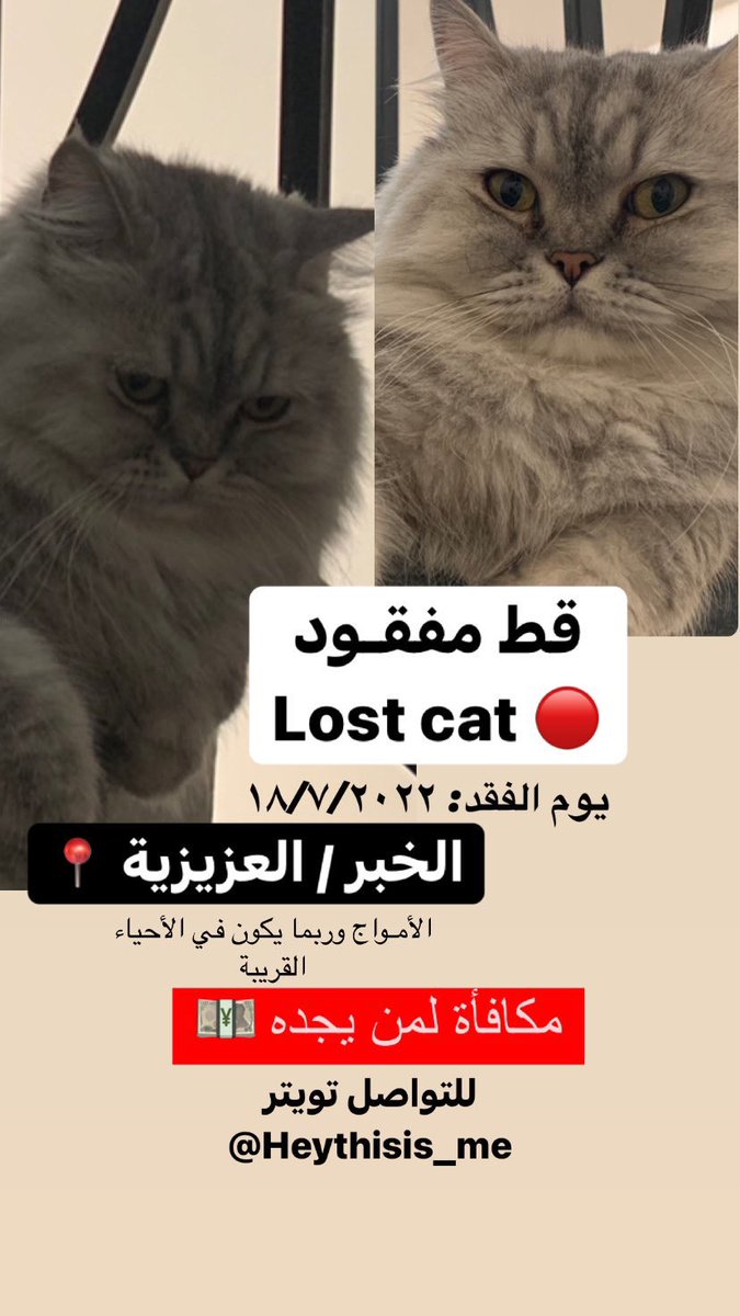 __ 𝗛𝗲𝘆 𝘁𝗵𝗶𝘀 𝗶𝘀 𝗺𝗲 __ tweet media