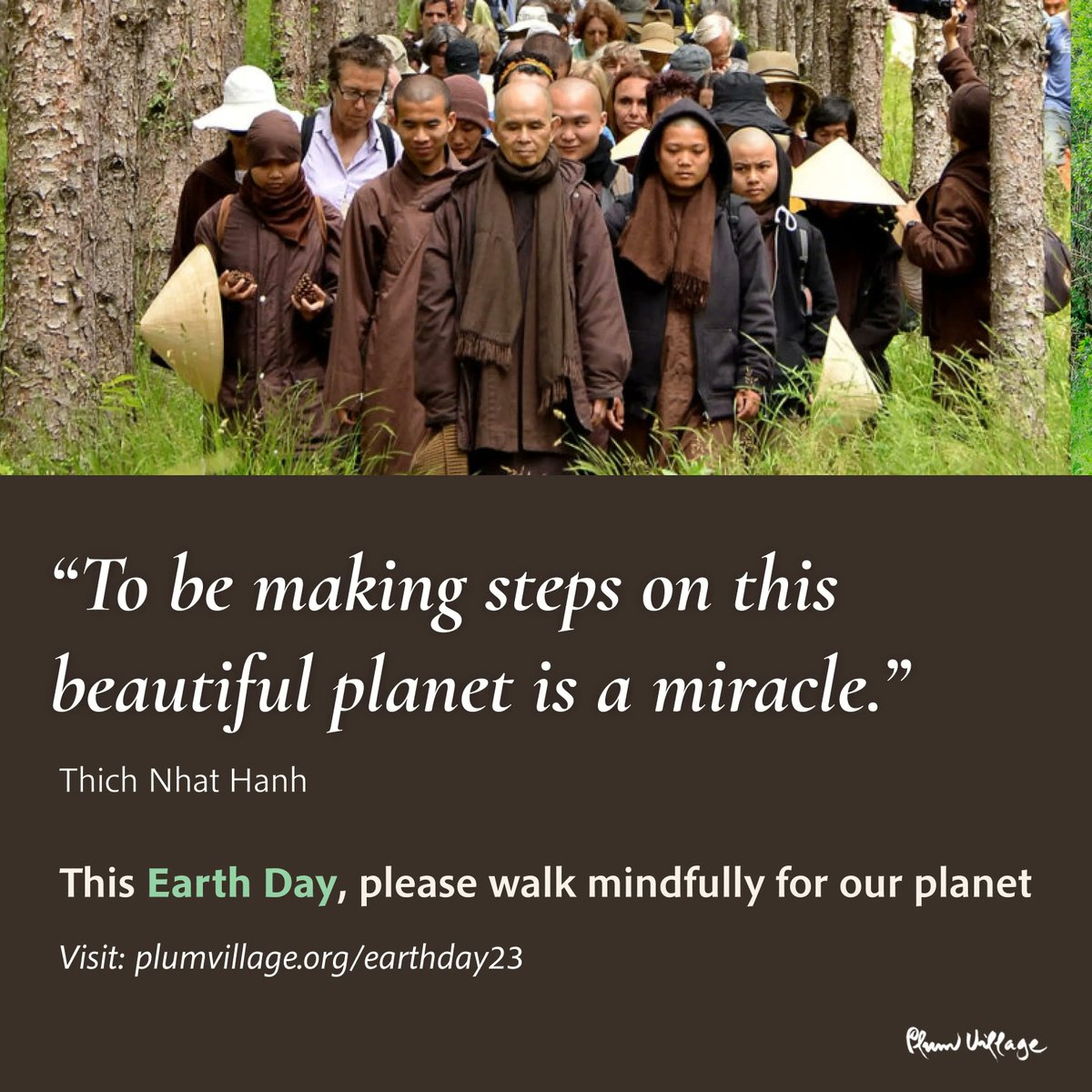 Thay has taught that in order to really care for Mother Earth, we should learn to fall in love with her. One practical way we can connect intimately with our planet is through walking meditation. We invite you to take some mindful steps this Earth Day: 

plumvillage.org/articles/pleas…