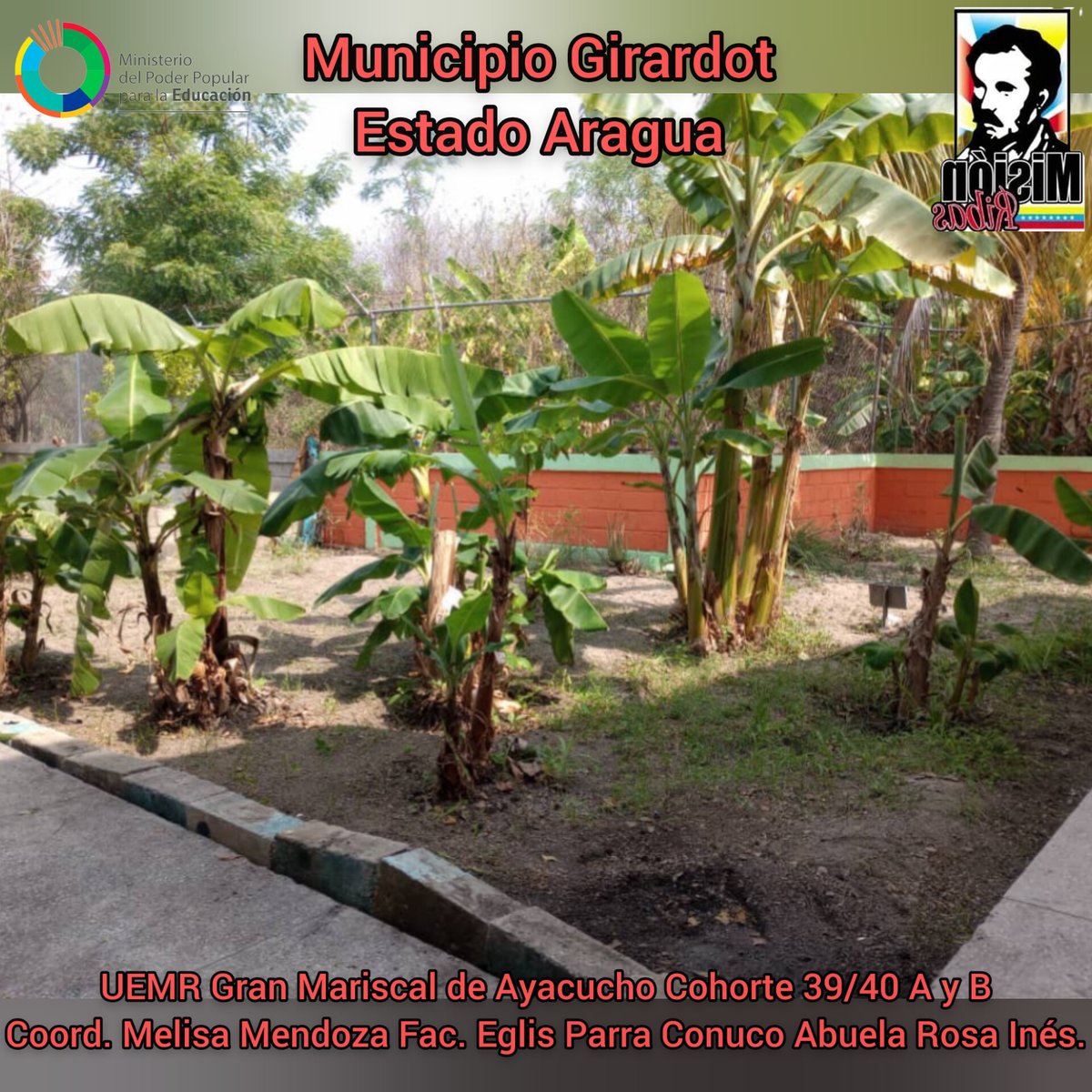 GirardotMRibas's tweet photo. Avances de los Proyectos Socio Productivos del Municipio Girardot Estado Aragua. #JuegosDeportivosALBA @NicolasMaduro
@DelcyRodriguezv
@Soykarinacarpio
@LaAvanzadora
@ZE_Aragua
@PoetaLaya
@misionribasarag
@m_ribasnacional https://t.co/n00haOovWR