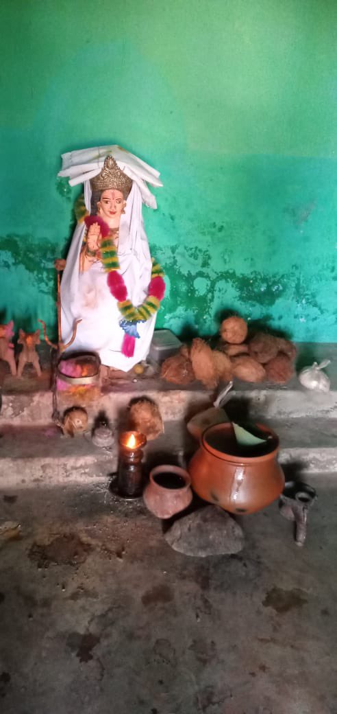 #Akti - “one that never diminishes.” May this Akshaya Tritiya bring you luck, good health, Happiness and Prosperity that never fades. @NavdanyaBija farmers #Chhattisgarh #AkshayaTritiya2023 @drvandanashiva #HappyEarthDay2023