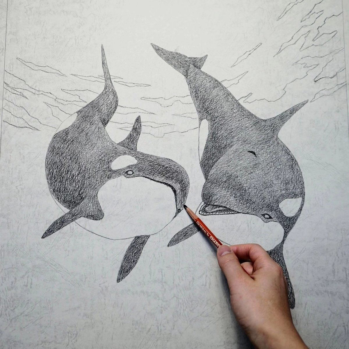 kentaro_art's tweet photo. "Together" #Orcas, Charcoal on paper
I draw on paper with charcoal and eraser.
「共に」#シャチ、木炭、パステル紙
木炭を紙にこすりつけ黒くしてから、練り消しゴムで消して描いたシャチのオーダー作品です。
#kentaronishino #saveorcas #orcaart #アールビバン #画家 #西野健太郎 https://t.co/TFBftPo1Rh