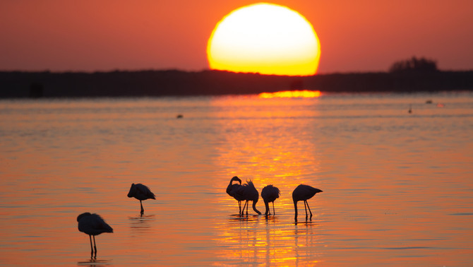 Per què hauríem de mirar més postes de sol: causen emocions positives i rebaixen l'estrès
ccma.cat/324/per-que-ha…