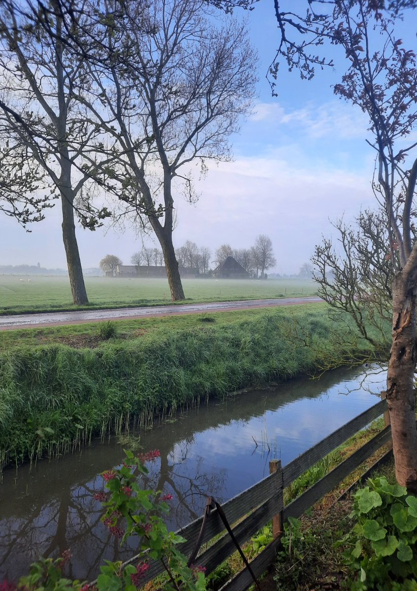 Greetje19's tweet photo. Pluk de dag 🍀
#gasterij in de boomgaard 🍏🍐
#Sint Maarten https://t.co/iLFoNfxGxB