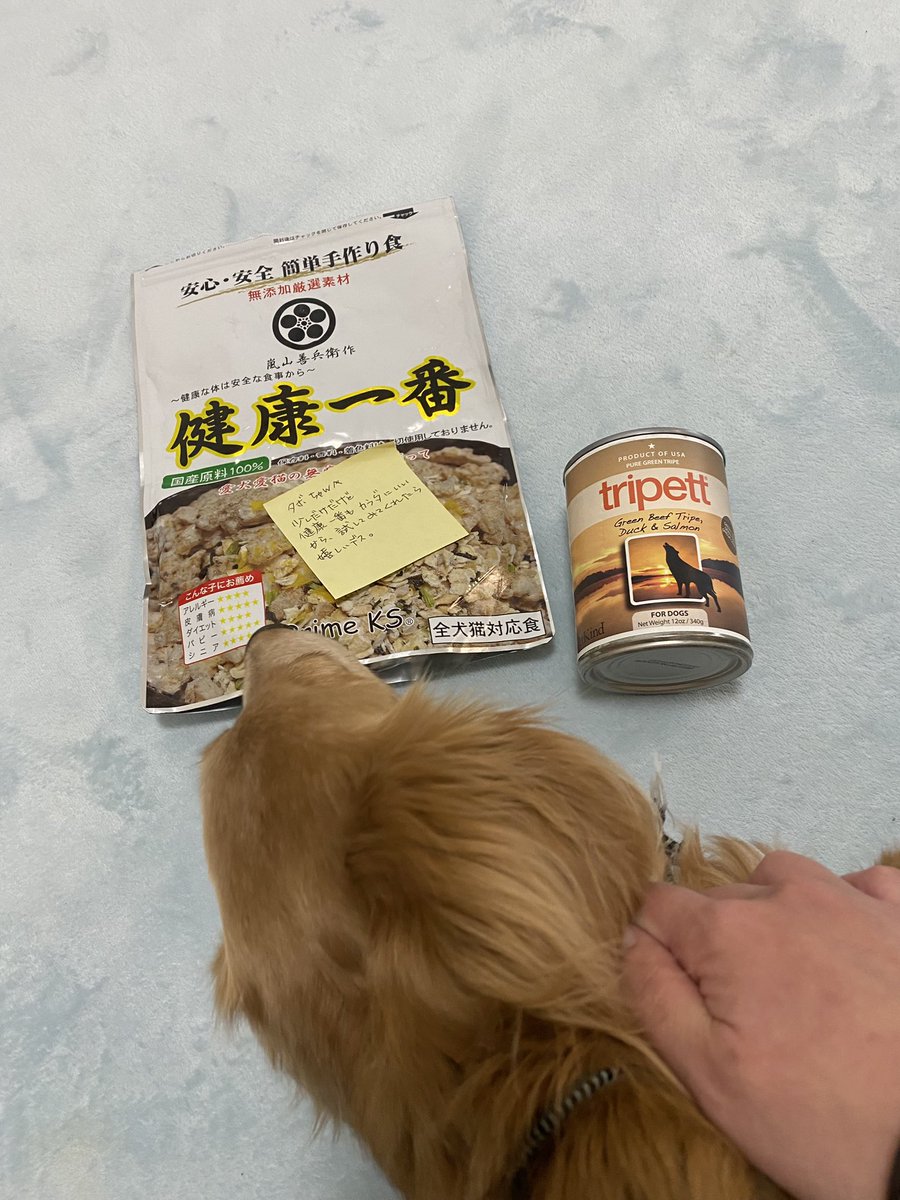 ryo_1773's tweet photo. ター坊「あとむちゃんとぷーちゃんが残してくれた健康フードのトライペットと健康一番、ママさん@mumboju68406144 が僕に送ってくれたのよ‼️嬉しこ〜😆💕✨」
ママさん本当にどうもありがとう!
健康一番匂いがいいみたいでタボちゃんパッケージから離れません🤣❗️
#tripet #健康一番 https://t.co/QqtTzAfWHR