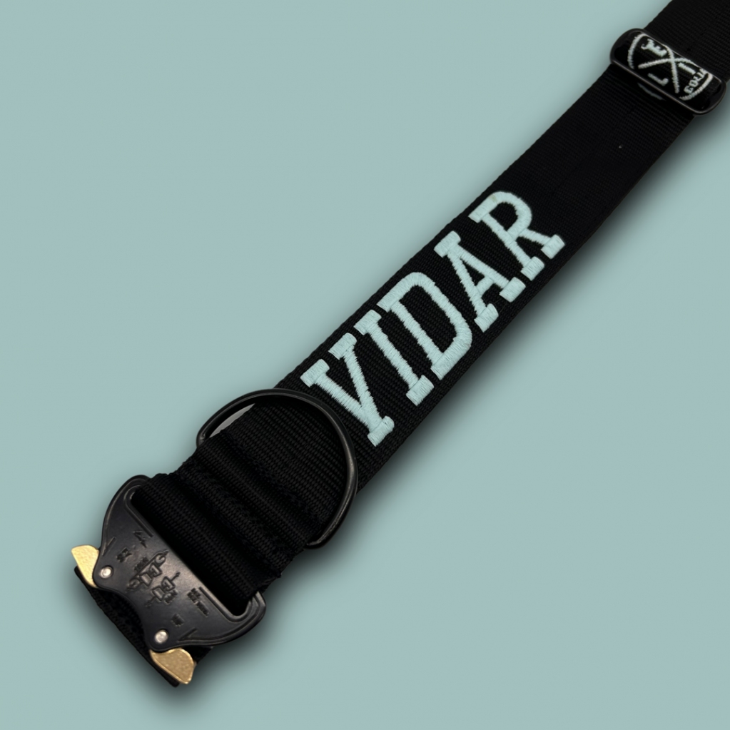 EvilCollar's tweet photo. VIDAR ha scelto Collare mod M101 All Black 5cm con nome in Day&amp;Night visibile al buio!!
Personalizza il tuo Collare preferito con innumerevoli combinazioni di design e colori.
 https://t.co/Vz6saNbQ0E https://t.co/o2oNSip6Vk