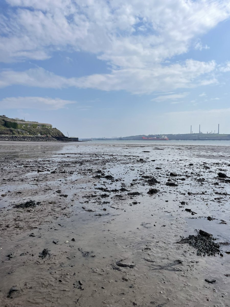 MsMountstevens's tweet photo. Fantastic day out rock-pooling with Darwin Science in Gelliswick Bay. The children were so brave. 🦀🐚🐠 https://t.co/d3q9BhL1UK