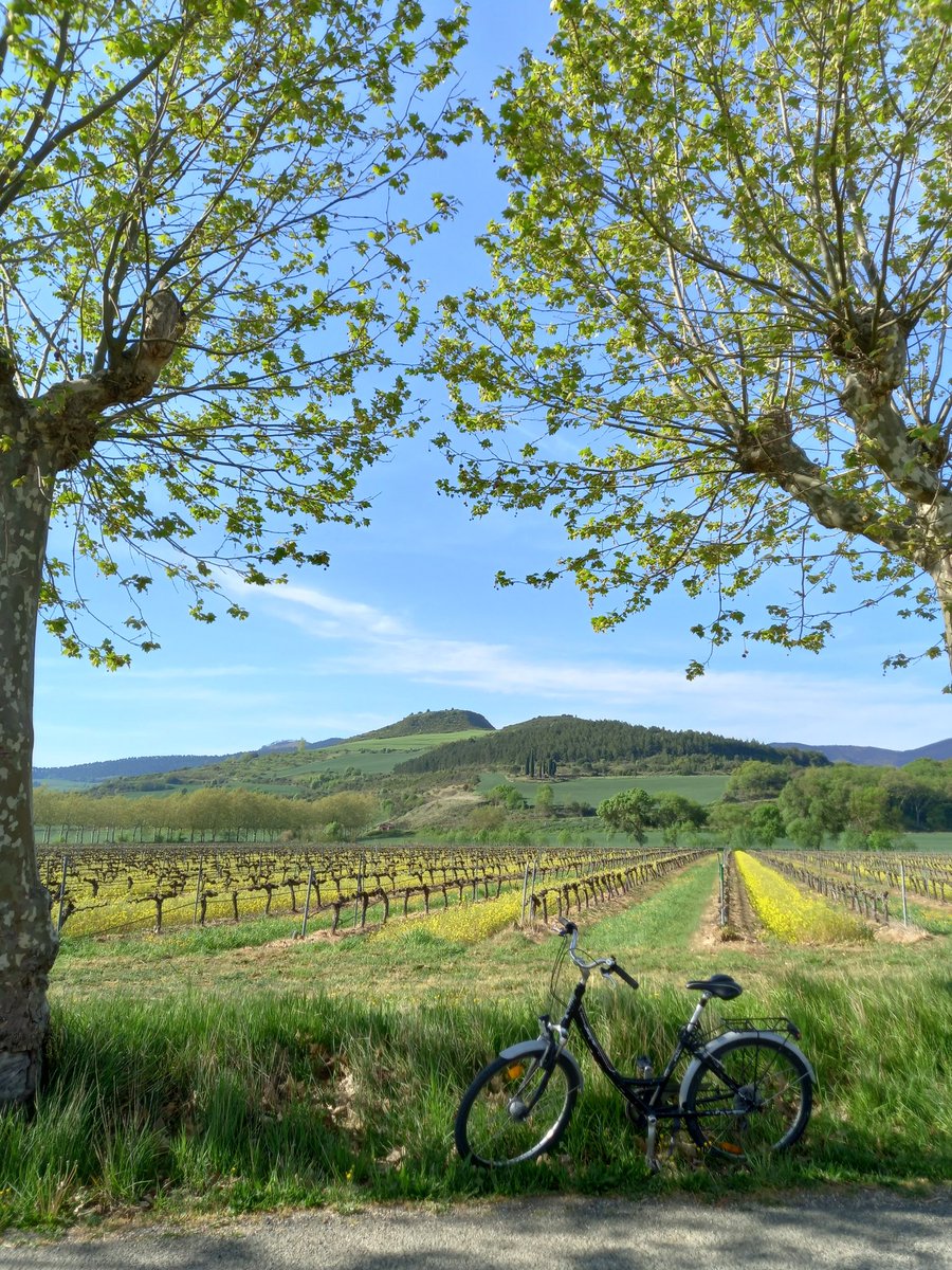 marenelcamino's tweet photo. Día 2️⃣2️⃣
#30DEB @30díasenbici
🚲Rueda que irás muy lejos,escribió #MiguelHernández
Ayer, rodando, entre #Larraya #Eriete #Ubani #Otazu ¡estába precioso!
Rueda en bicicleta, ejercita tu cuerpo y mejora tu salud.
Rueda en bicicleta, frena el calentamiento global. https://t.co/mWeGTjOqCB