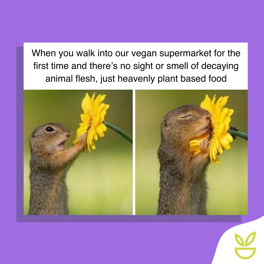 Good food, all plant based 💚 Check out our vegan supermarket in store and online with UK next day delivery and 10% OFF first order 👀🚚