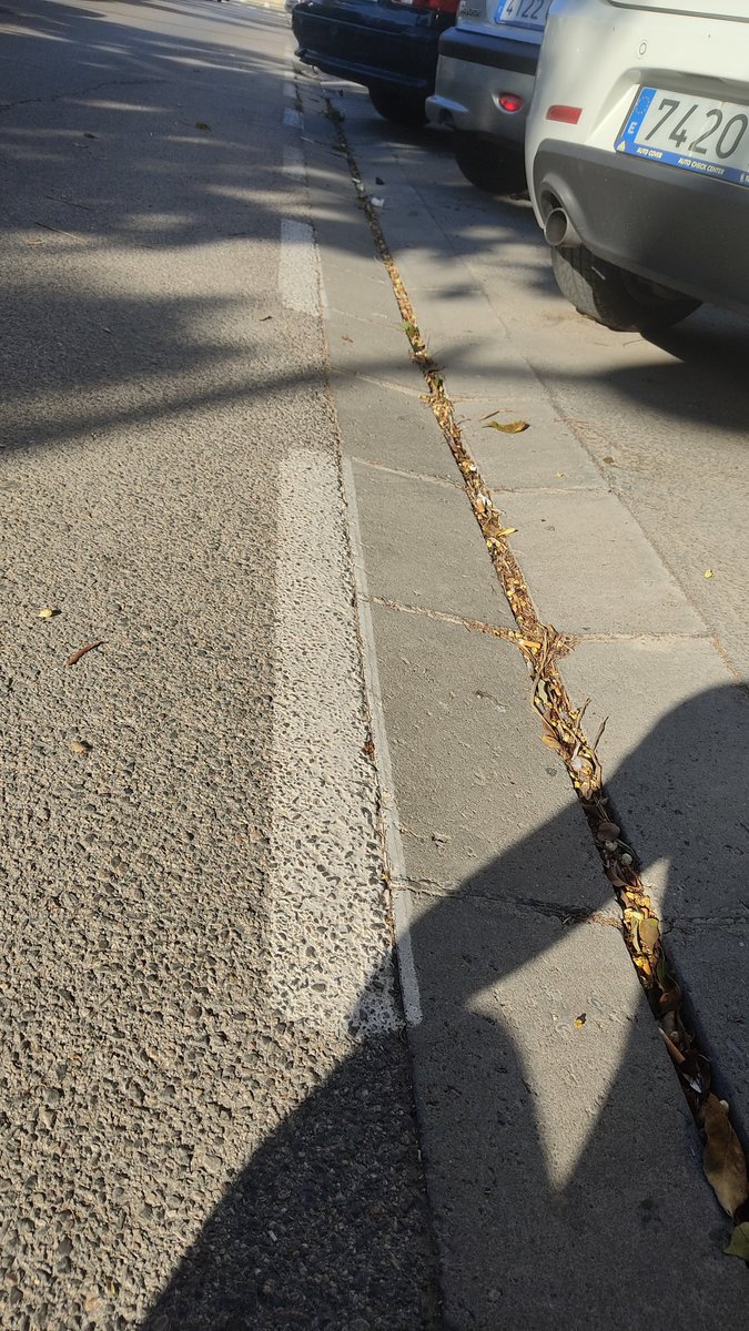 AguaCaminosUA's tweet photo. La utilización de imbornales corridos es una muy buena opción para capturar las escorrentías superficiales urbanas. Pero sin un correcto mantenimiento su buen funcionamiento se verá muy mermado https://t.co/n8zRCbLM2f