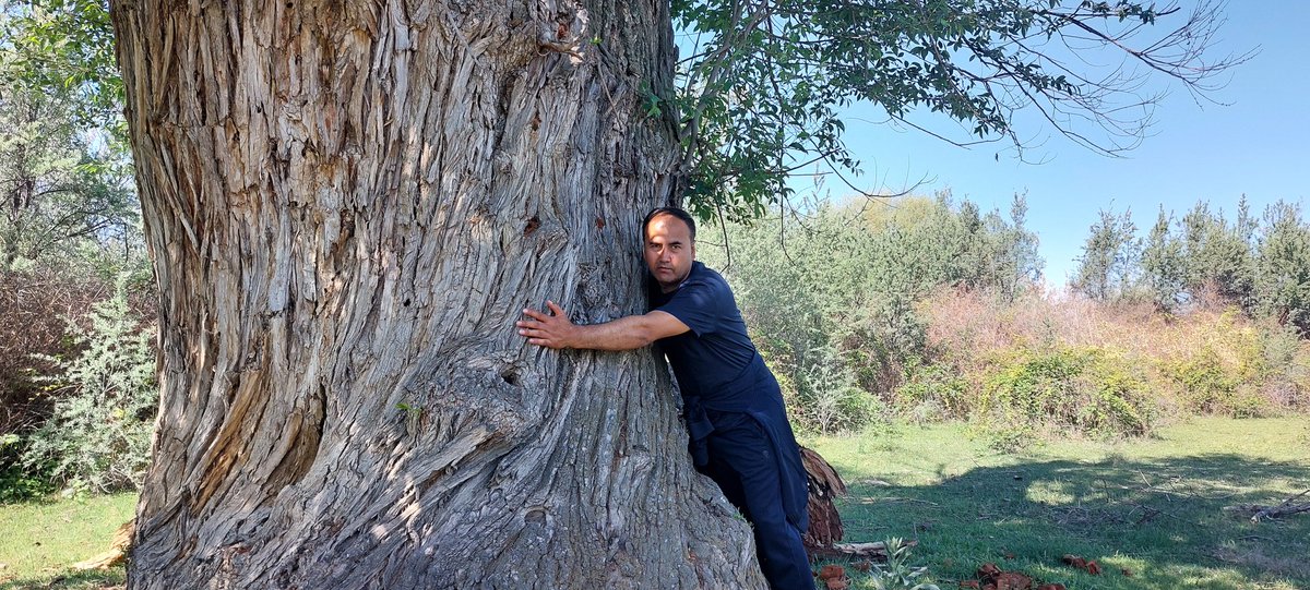 Болалигимга қайтдим)  Бу кичикроғи, саноқлиси чалажон бўлиб сақланиб қолган. Бундан икки баравар катталари бор эди...