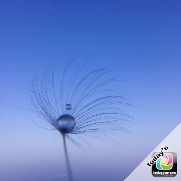 IGersJP's tweet photo. - こんな記事もいかがでしょう？ -  IGersJP Weekly showcase #131 presented by... https://t.co/CYRlsBrIPo https://t.co/BtGHZ3CS9O