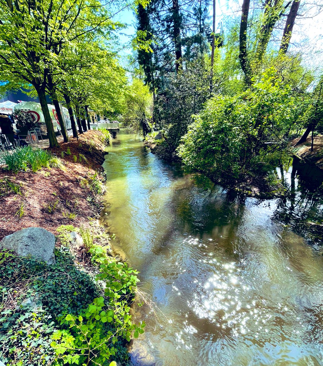 CarrouselChrono's tweet photo. Natur.entspannt.geniessen. @europa_park #springinthepark #mackmagicmoments @MichaelMack @ThomasMack_EP https://t.co/9StNbqMQIN