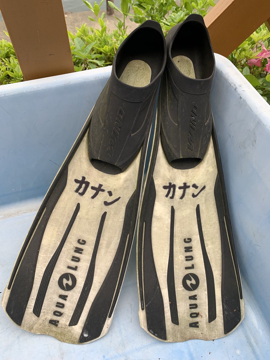 LL_Nonarin's tweet photo. 閃いた https://t.co/NnGvkMzF3M