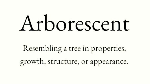 Cian McCarthy tweet media