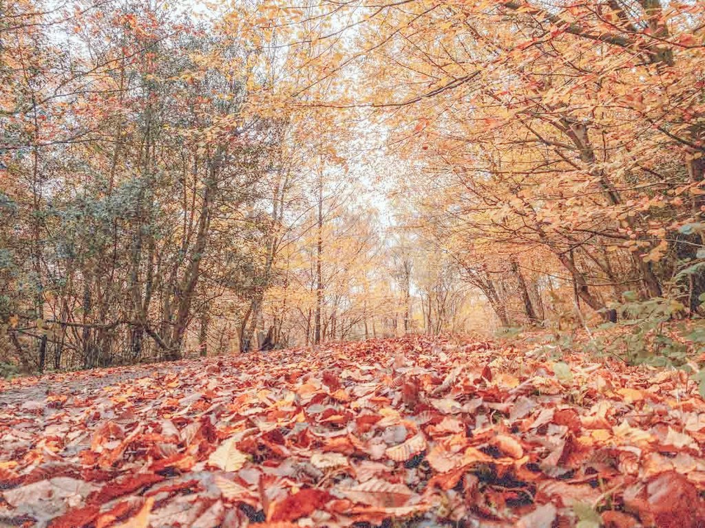 🌍 Happy #EarthDay2023 🌿

Please take some time today to appreciate the planet that nurtures, protects and houses us and reflect on what you can do, today and always, to help protect our home. 💚