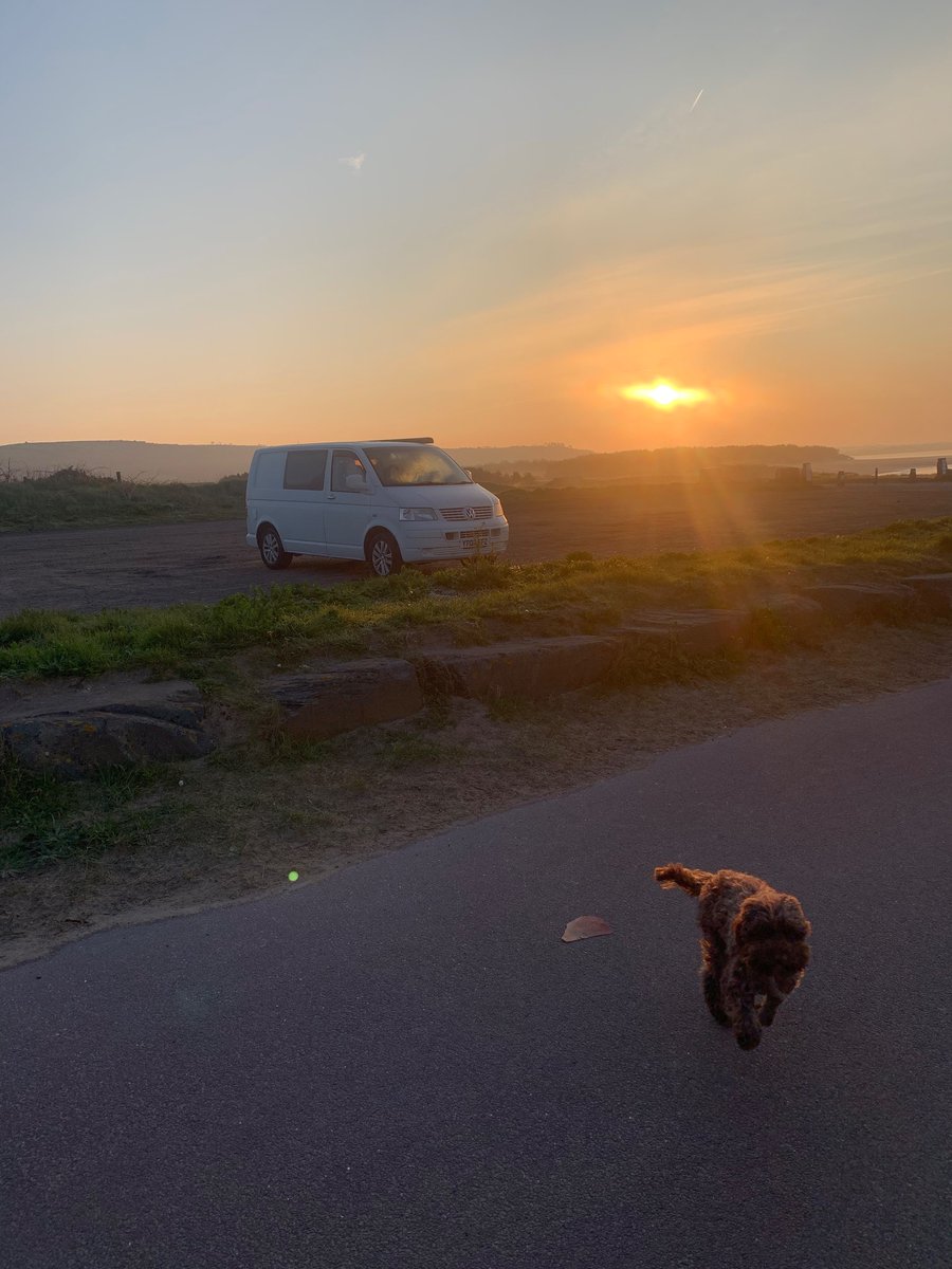 DanielleOlear13's tweet photo. Waking up to this….#vanlife 🚐 🏕️ ☀️ 🌊 https://t.co/PuBoFBQcEW