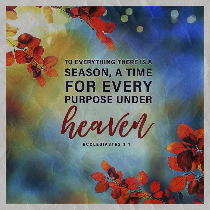 FindYourPraise's tweet photo. Whatever God takes us through has purpose, sometimes to deepen our faith or to help us achieve breakthrough in an area of our life. Trust God that whatever our circumstances, He is in the midst! https://t.co/YGmonnFeCO