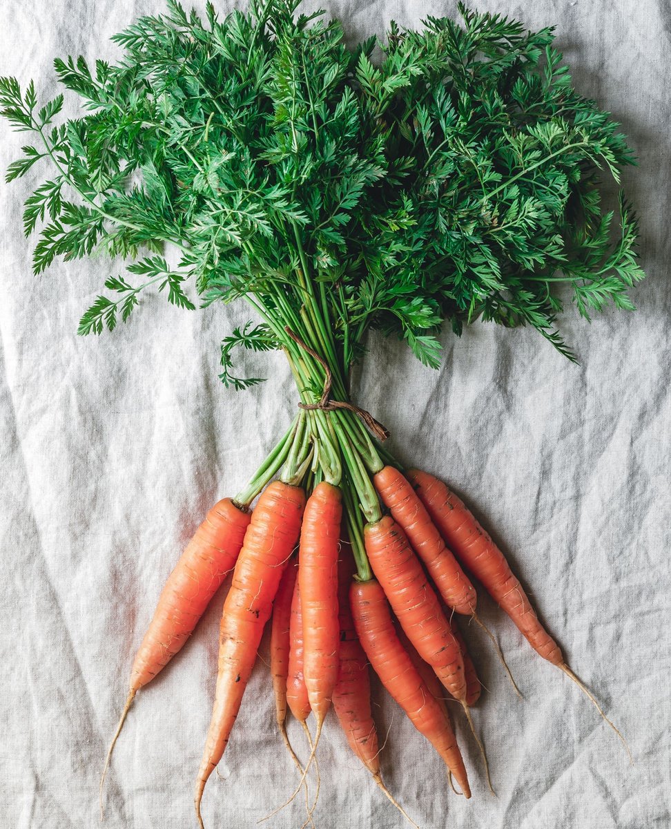 eatthisorg's tweet photo. Capellini mit Karottengrün-Pesto.🥕🍝 Je frischer das Grün, desto milder und angenehmer ist der Geschmack. https://t.co/NNjzoS2Fe7 https://t.co/8EpfgtGFJH