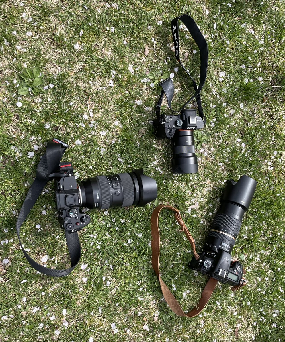 思いもよらず写活してる

全員フルサイズ
SONY7ⅲ
SONY7IV
Nikon D750