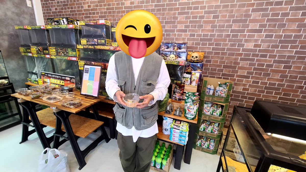 churatokage's tweet photo. 🌟爬虫類くじ続報🌟

続々と当たりが出ています👍
【3等・4等】を当ててペトリボウユビヤモリとDEOミストをお持ち帰り😆

【2等】でレオパもお迎えされました🙆

おめでとうございます🎉

#レプタイルパーク
#沖縄 #爬虫類ショップ https://t.co/s9eHXmgwyT