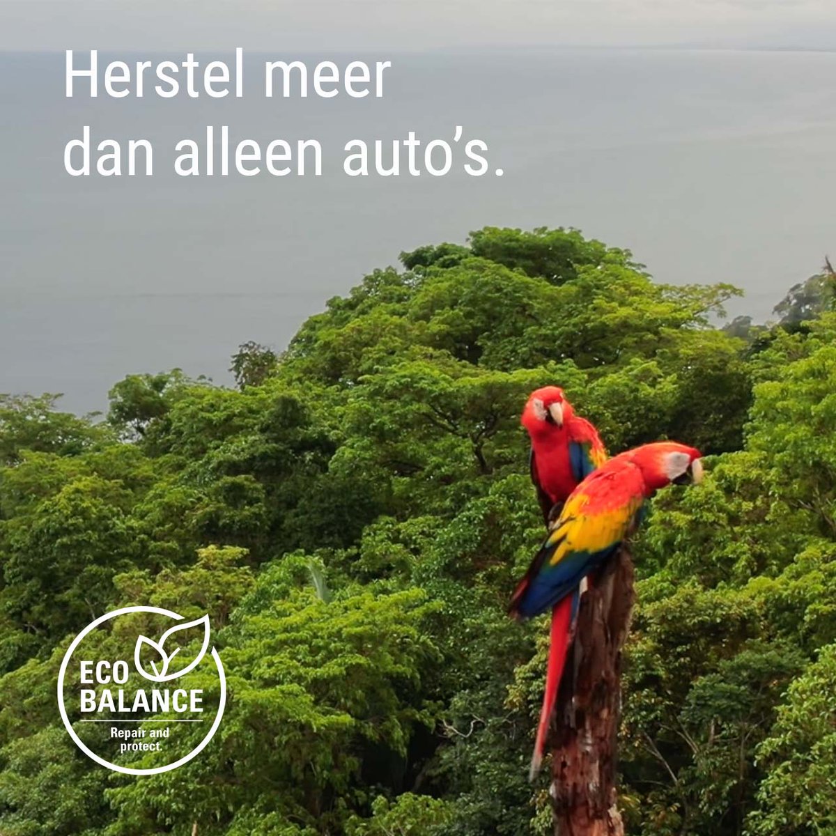 glasuritnl's tweet image. Breid de activiteiten van uw bedrijf uit van het herstellen van auto's naar het herstellen van het milieu. Door AraClass producten te gebruiken, kunnen we samen een betere, groenere toekomst creëren.
Moeder aarde zal ons dankbaar zijn.
#EarthDay #SaveThePlanet #EcoBalance