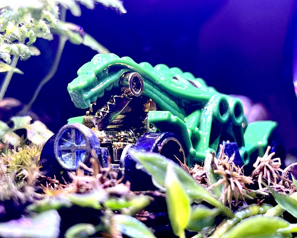 cozmuzik's tweet photo. テラリウムと
#ホットウィール!
太田商店さんで出愛ました🦎
#HotWHeeLs
#2013MultipackExclusive
#DoubleDemon
#LarryWood https://t.co/McT5DZ89wK