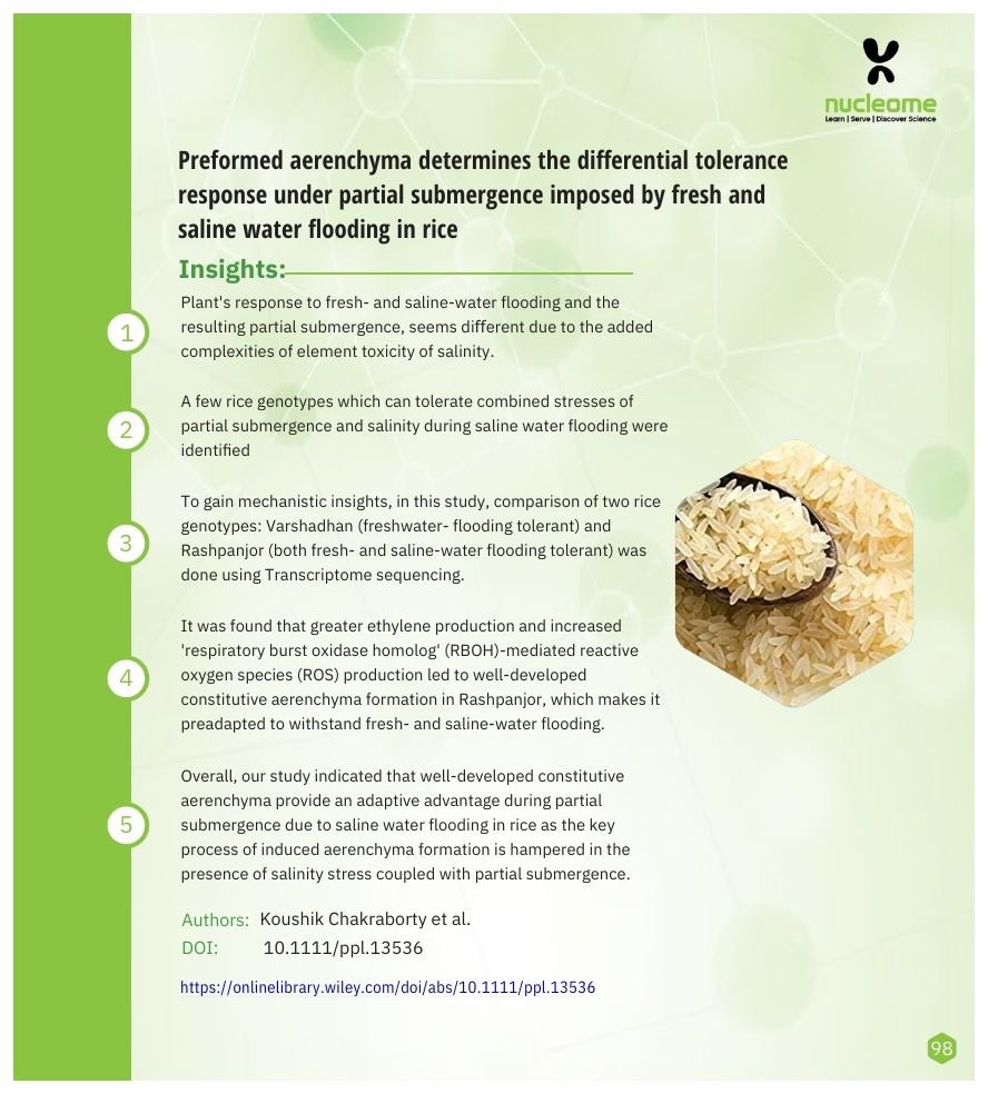 Preformed aerenchyma determines the differential tolerance response under partial submergence imposed by fresh and saline water flooding in rice. The study was conducted under the aegis of National Centre for Biotechnology Information (NCBI). #nucleome #research #rice #saline