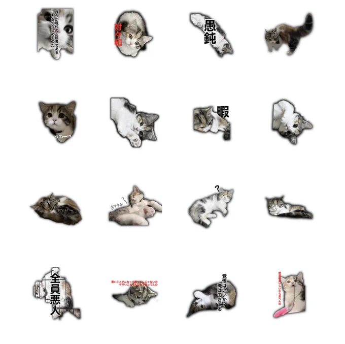 娘がトイトイでスタンプ作ってた!トイトイお昼寝中#猫のいる暮らし #猫のいるしあわせ  #cat #ネコ #ねこ #トイトイ 