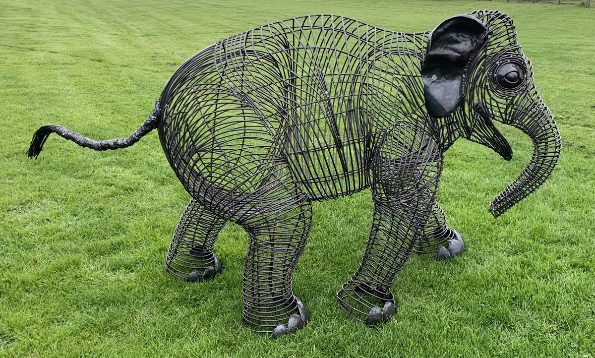 Jack Russell tweet media