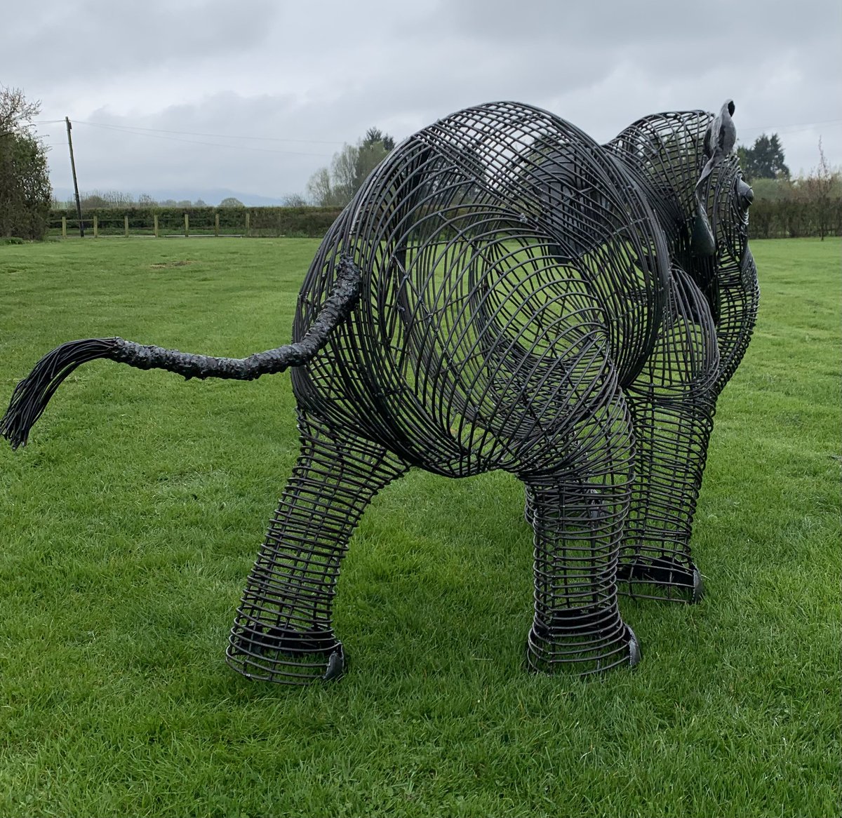 Jack Russell tweet media