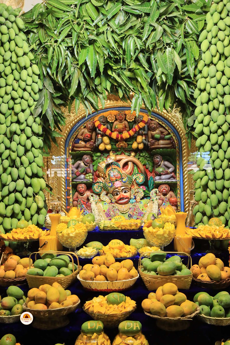 Shri Hanuman Temple - Salangpur tweet media