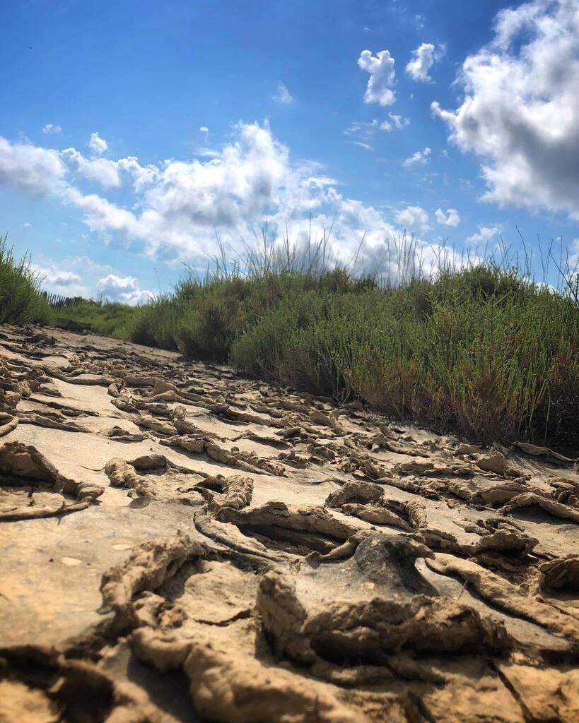 PlacidBusquets's tweet photo. Sec
〰〰〰
#emporda #torroellademontgrí #VisitTorroella #catalonia #catalunya #baixemporda #elmeupetit_pais #raconsde_girona #visitemporda #catalunya_alnatural #mobilephotography #iphonephotography #iphonephoto #ShotOniPhone #TW https://t.co/aaT3EnTcXa https://t.co/iRiNvHPUUt