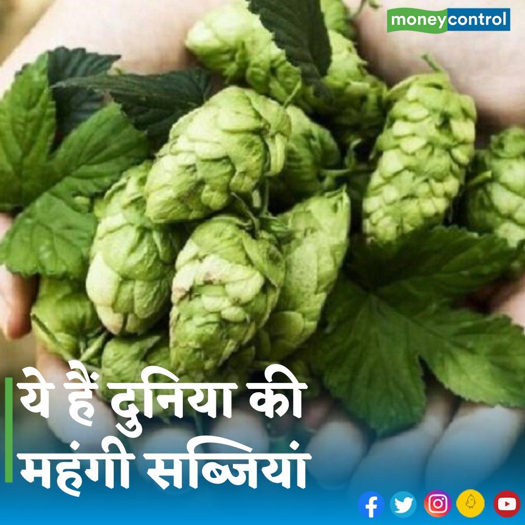 MoneycontrolH's tweet photo. #vegetables - क्या आप जानते हैं कि दुनिया की सबसे महंगी सब्जी कौन सी है? इन सब्जियों की कीमत कितनी है? हो सकता है कि आप नाम को लेकर कुछ अंदाजा लगाएं, लेकिन इन सब्जियों की कीमत सुनकर आपके होश उड़ जाएंगे।
👇
https://t.co/iTj6sW9yOT
#mostexpensivevegetable https://t.co/FmrqClu6OT