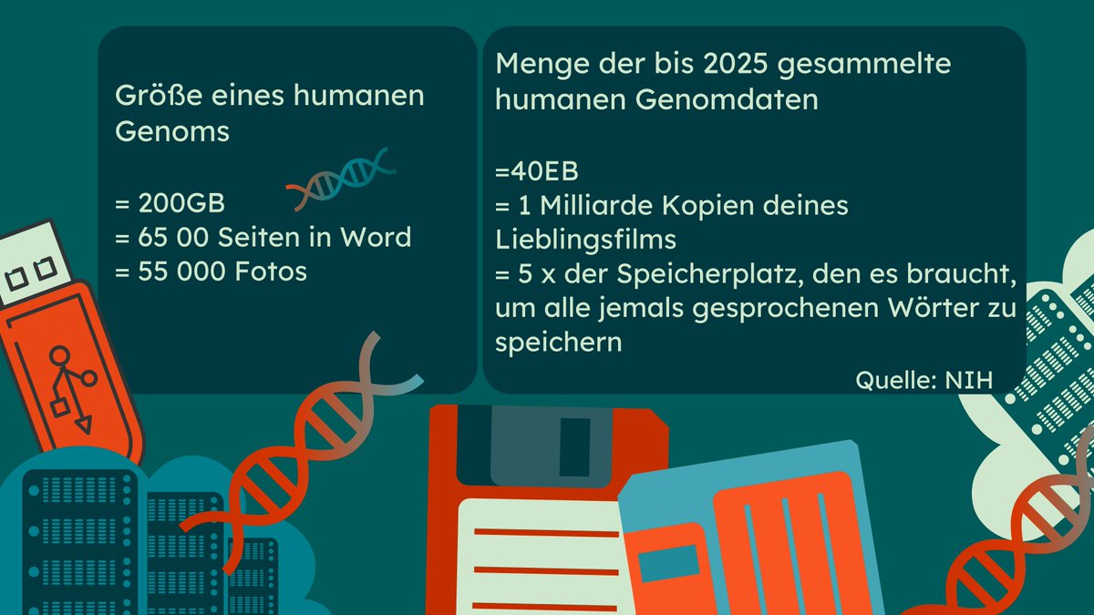 DerCodeDesLebens tweet media