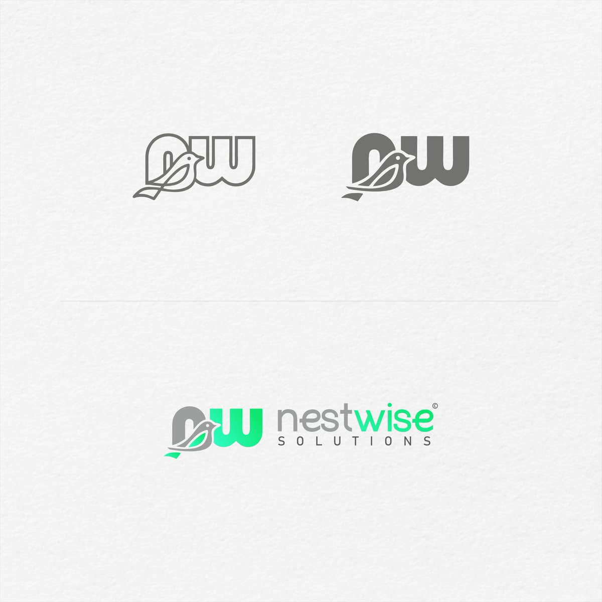itsrobinraj's tweet photo. We believe that a great logo is the foundation of any successful brand. That's why we worked closely with @nestwisesolutions to create a logo that truly represents their business. #logodesign #branding #graphicdesign #smallbusiness https://t.co/mTBgjP0V1Y