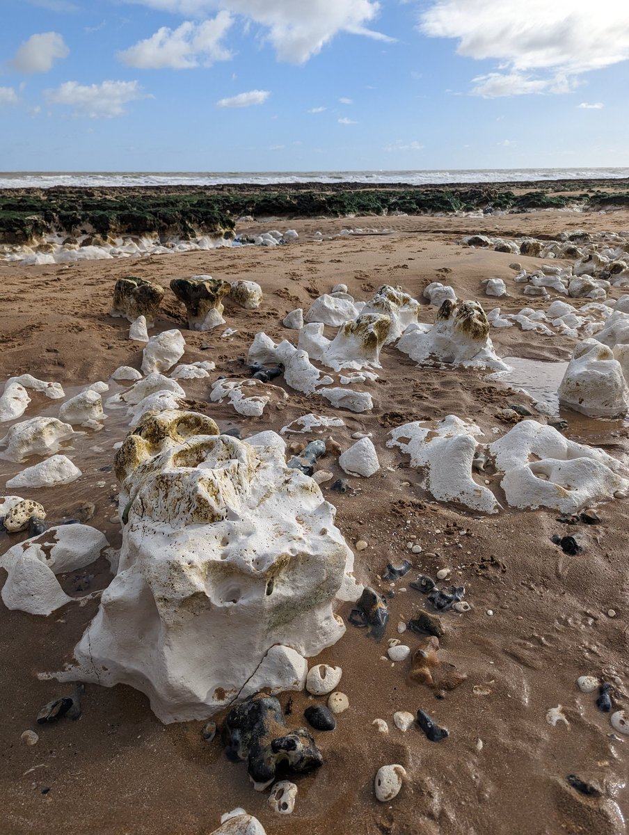 Every day is #EarthDay. Are you paying attention? This is where we live. Love it or lose it.

Photo from our little corner of the planet.