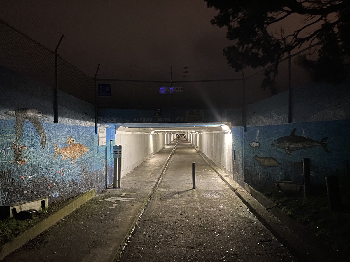 richlangston2's tweet photo. The venue for the evening gig of RSD. Noise artist Bruce Russell about to make a racket in the hundred metres of concrete tunnel under Wellington Airport. true story. #noise #DeadC #audiofoundation https://t.co/FaiPxuishi