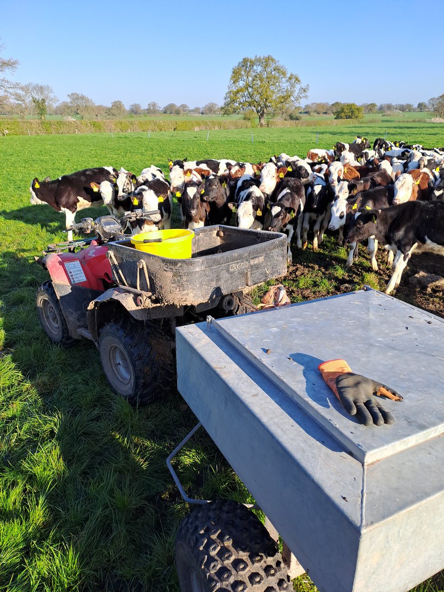 RetreatSwallows's tweet photo. After a mixed spring we have finally completed turn out and all the cattle sheds are now empty!! https://t.co/X3MHL72L7O