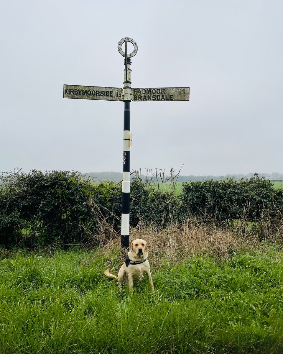 Kirkbymoorside 10K tweet media